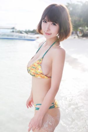南城宴电视剧免费观看