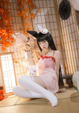 宁安如梦电视剧在线免费观看